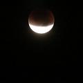 D_20150928-035222 IMG_7581